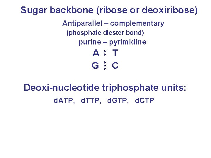 Sugar backbone (ribose or deoxiribose) Antiparallel – complementary (phosphate diester bond) purine – pyrimidine