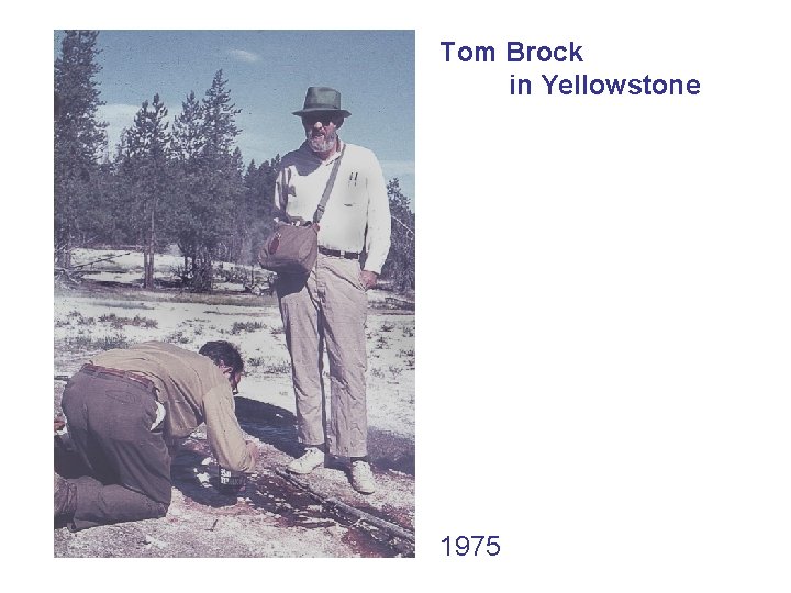 Tom Brock in Yellowstone 1975 