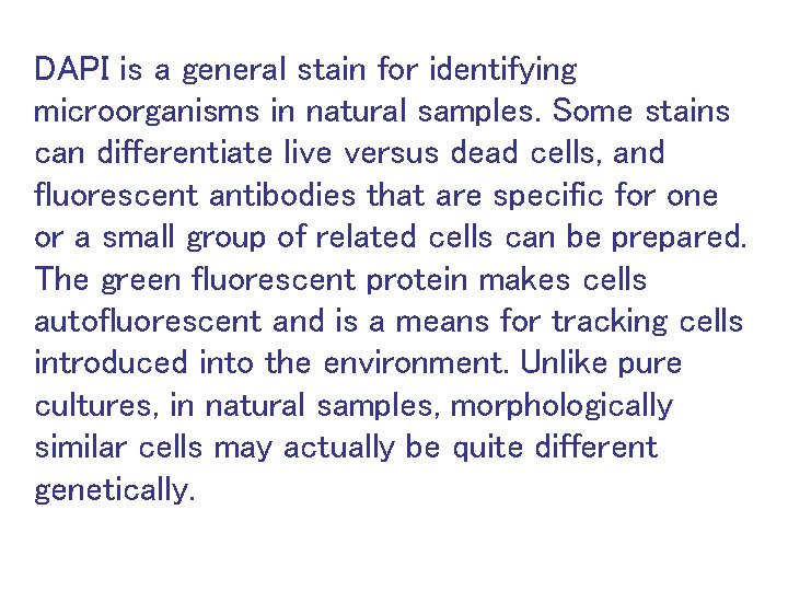 DAPI is a general stain for identifying microorganisms in natural samples. Some stains can