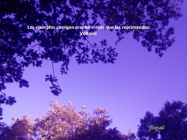 Los ejemplos corrigen mucho mejor que las reprimendas. Voltaire Los ejemplos corrigen mucho mejor que las reprimendas. Voltaire