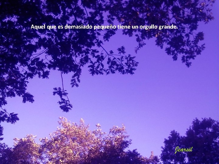 Aquel que es demasiado pequeño tiene un orgullo grande. Aquel que es demasiado pequeño tiene un orgullo grande.
