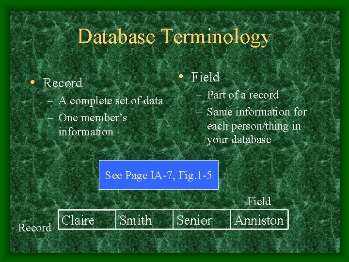 Database Terminology • Field • Record – A complete set of data – One Database Terminology • Field • Record – A complete set of data – One