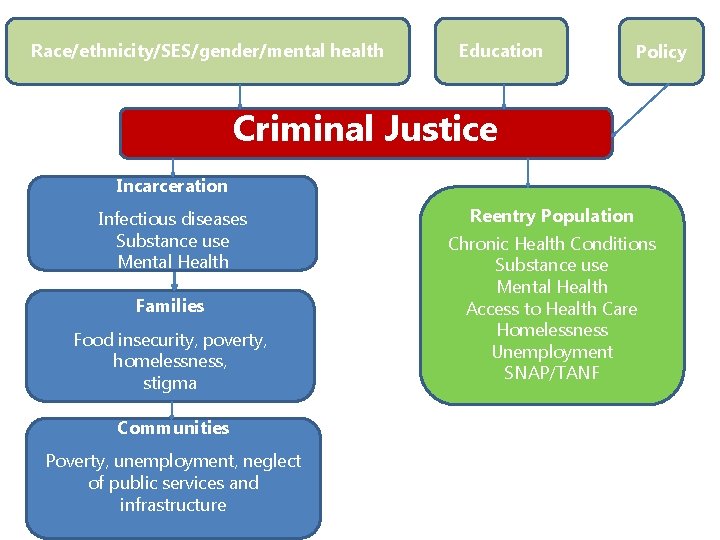 Race/ethnicity/SES/gender/mental health Education Policy Criminal Justice Incarceration Infectious diseases Substance use Mental Health Families