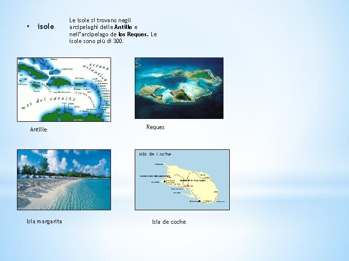  • isole Antille Isla margarita Le isole si trovano negli arcipelaghi delle Antille