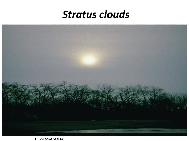 Stratus clouds 