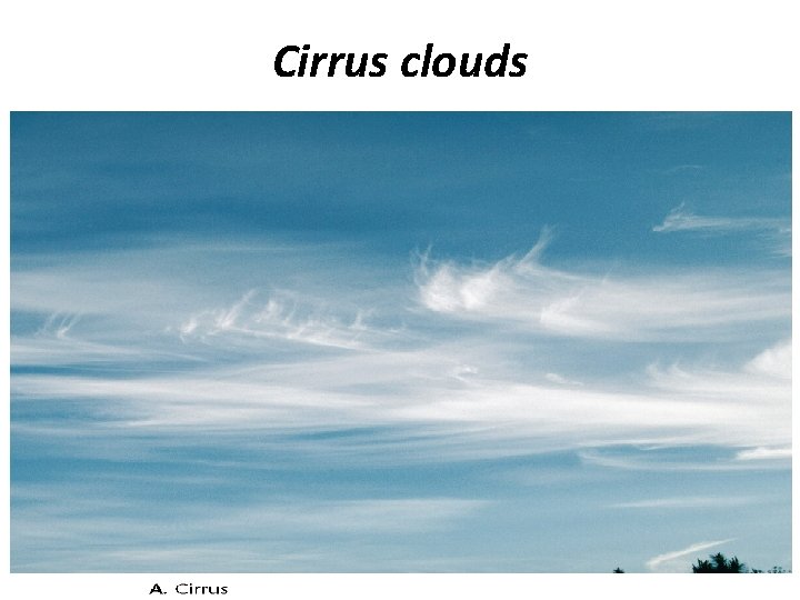 Cirrus clouds 