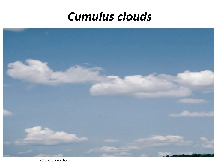 Cumulus clouds 