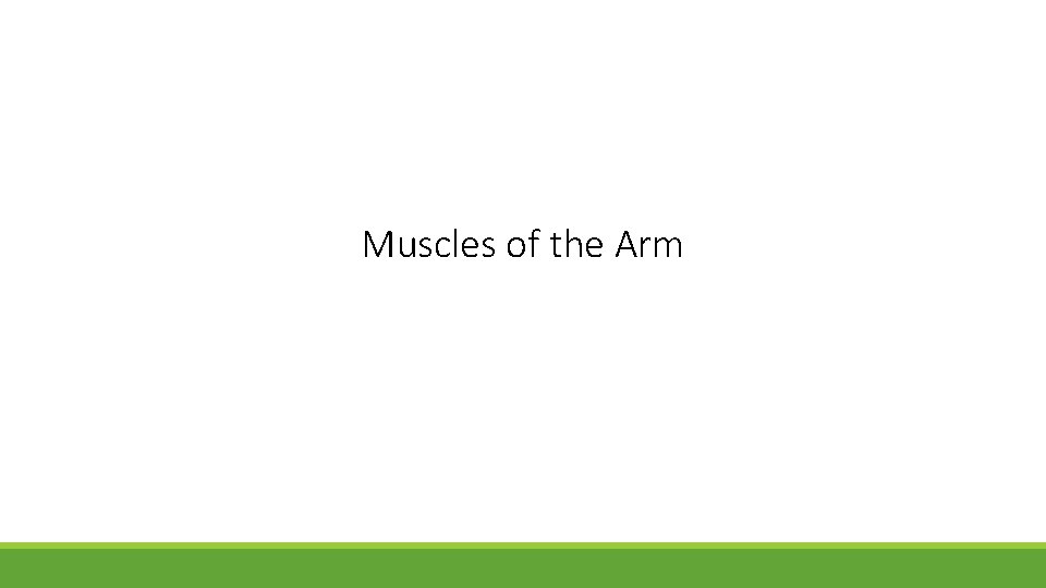 Muscles of the Arm 