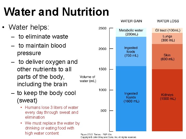 Water and Nutrition • Water helps: – to eliminate waste – to maintain blood