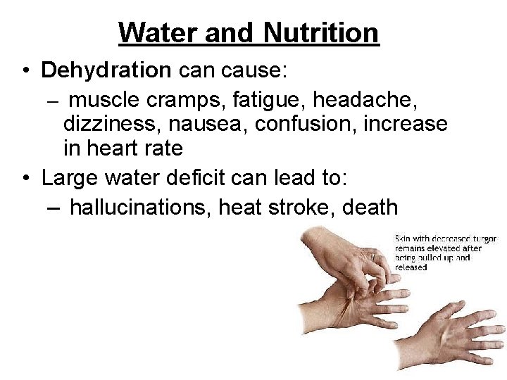 Water and Nutrition • Dehydration cause: – muscle cramps, fatigue, headache, dizziness, nausea, confusion,