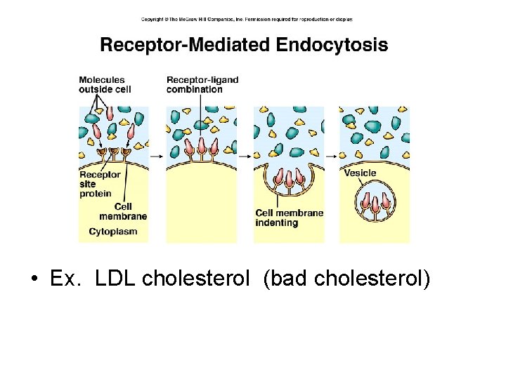  • Ex. LDL cholesterol (bad cholesterol) 