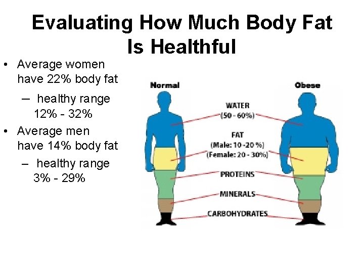 Evaluating How Much Body Fat Is Healthful • Average women have 22% body fat