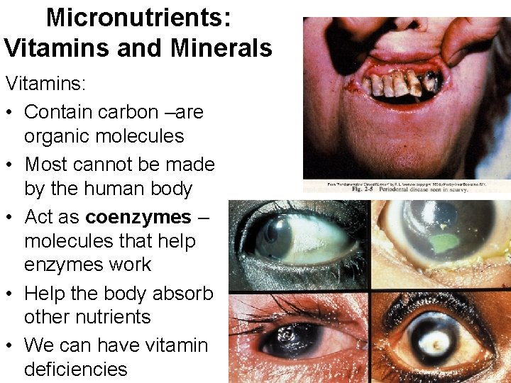 Micronutrients: Vitamins and Minerals Vitamins: • Contain carbon –are organic molecules • Most cannot