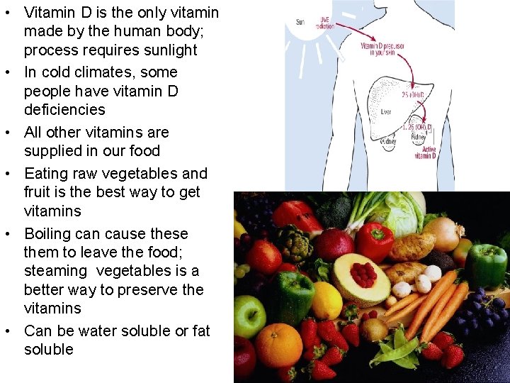  • Vitamin D is the only vitamin made by the human body; process