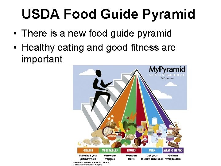 USDA Food Guide Pyramid • There is a new food guide pyramid • Healthy