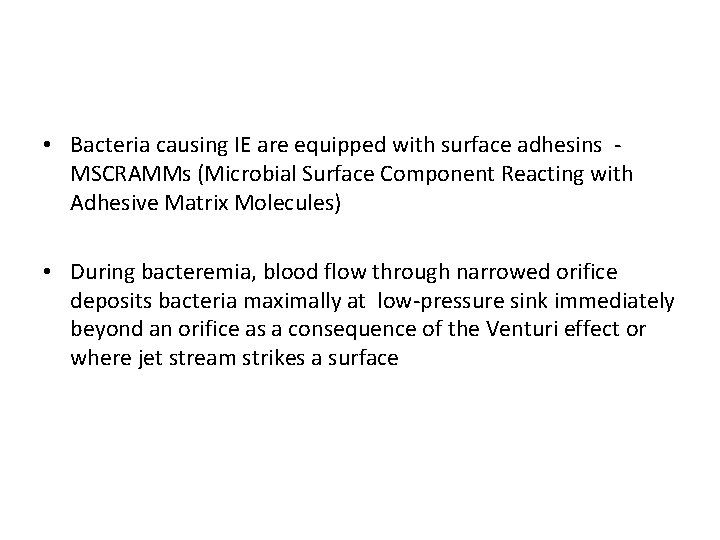  • Bacteria causing IE are equipped with surface adhesins MSCRAMMs (Microbial Surface Component