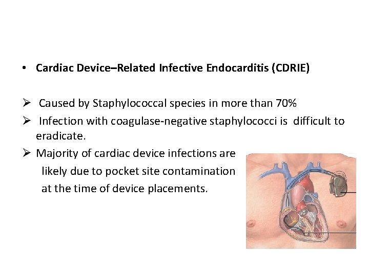  • Cardiac Device–Related Infective Endocarditis (CDRIE) Ø Caused by Staphylococcal species in more
