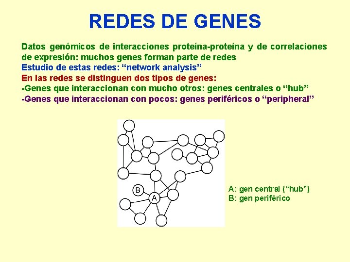 REDES DE GENES Datos genómicos de interacciones proteína-proteína y de correlaciones de expresión: muchos