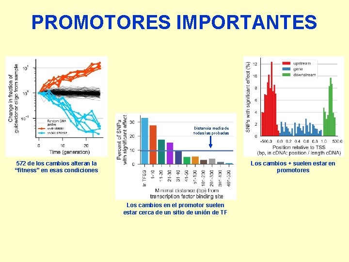 PROMOTORES IMPORTANTES Distancia media de todas las probadas 572 de los cambios alteran la