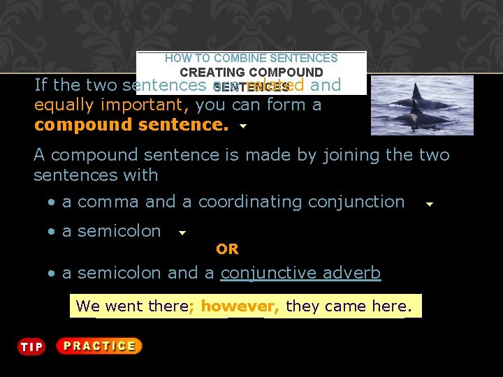 HOW TO COMBINE SENTENCES CREATING COMPOUND sentences are related and SENTENCES If the two