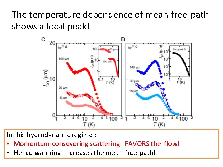 The temperature dependence of mean-free-path shows a local peak! In this hydrodynamic regime :