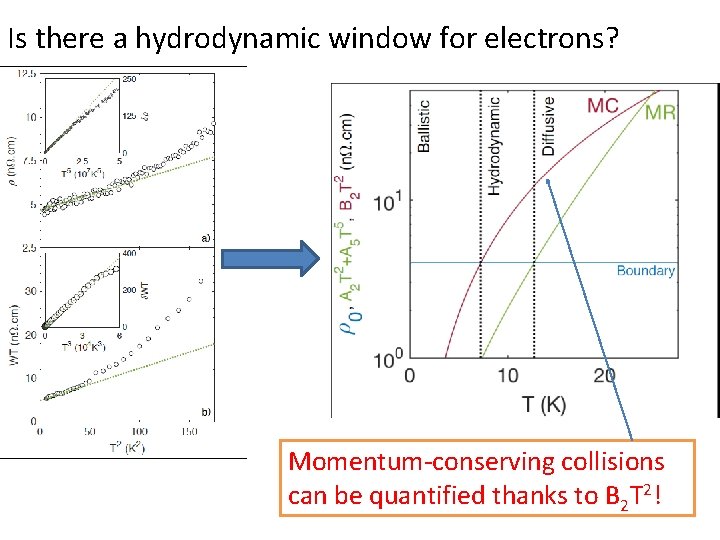 Is there a hydrodynamic window for electrons? Momentum-conserving collisions can be quantified thanks to