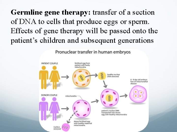 Germline gene therapy: transfer of a section of DNA to cells that produce eggs