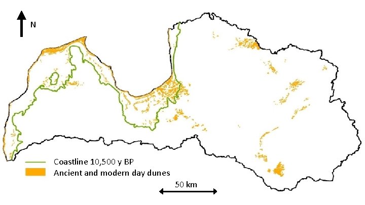 N Coastline 10, 500 y BP Ancient and modern day dunes 50 km 