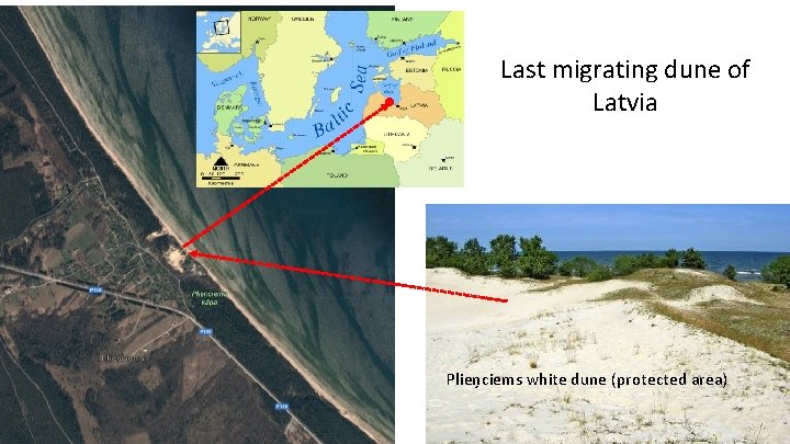 Last migrating dune of Latvia Plieņciems white dune (protected area) 