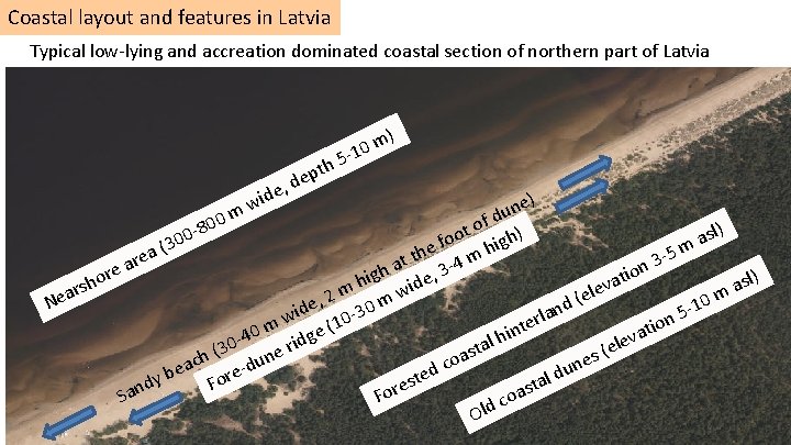 Coastal layout and features in Latvia Typical low-lying and accreation dominated coastal section of
