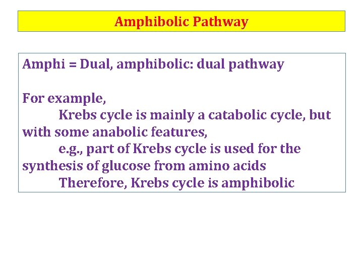 Amphibolic Pathway Amphi = Dual, amphibolic: dual pathway For example, Krebs cycle is mainly