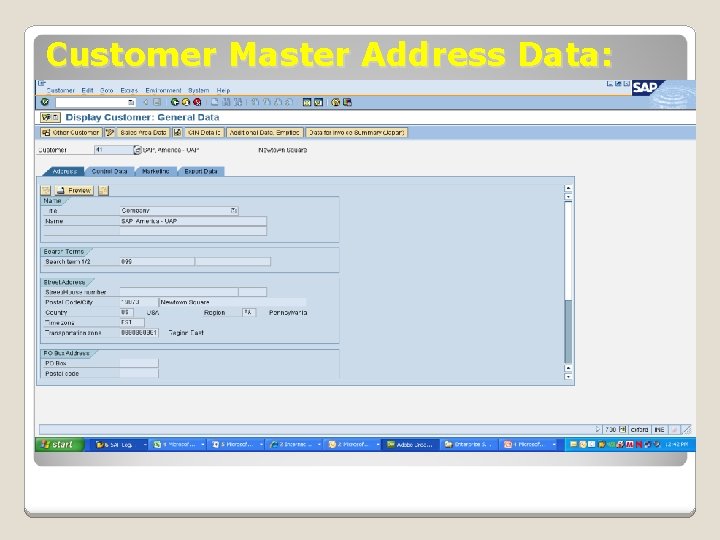 Customer Master Address Data: 