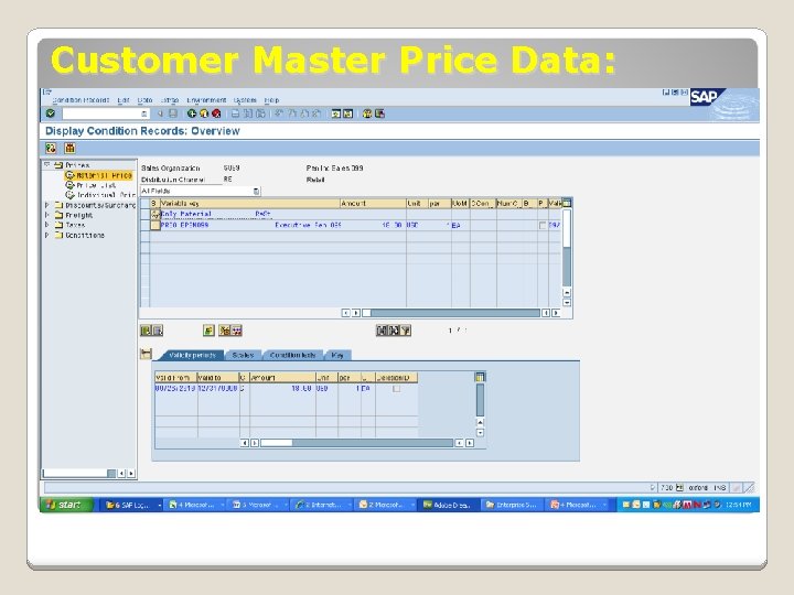 Customer Master Price Data: 