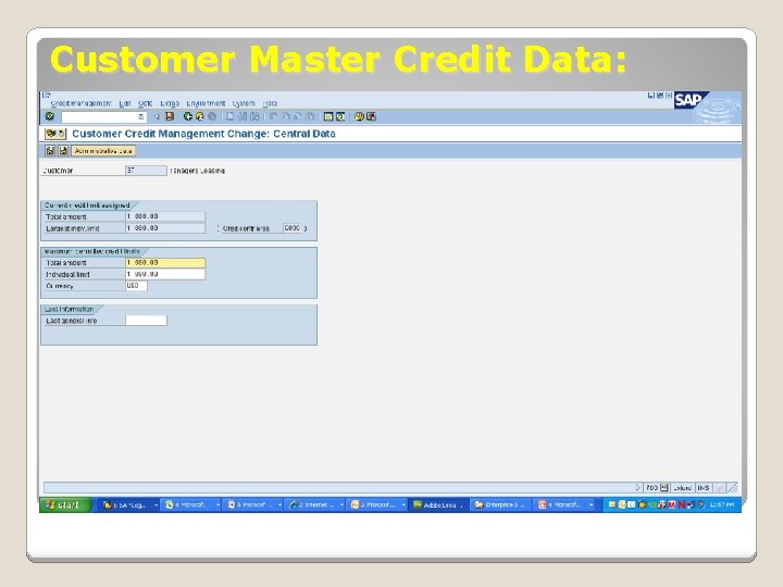 Customer Master Credit Data: 