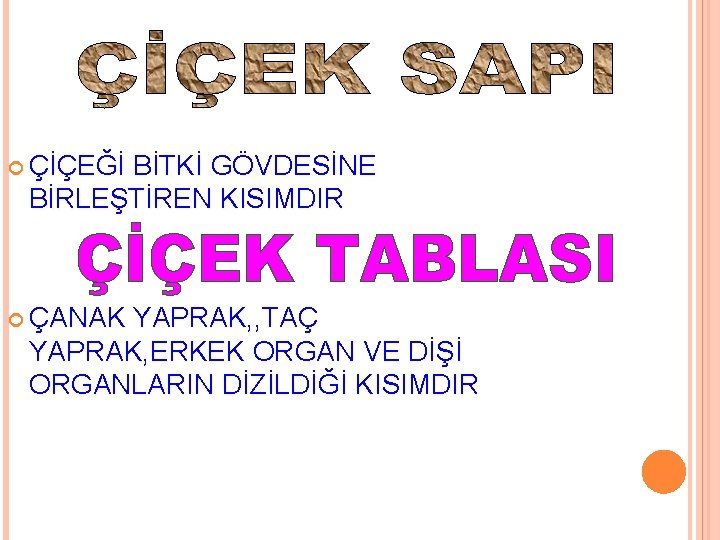  ÇİÇEĞİ BİTKİ GÖVDESİNE BİRLEŞTİREN KISIMDIR ÇANAK YAPRAK, , TAÇ YAPRAK, ERKEK ORGAN VE