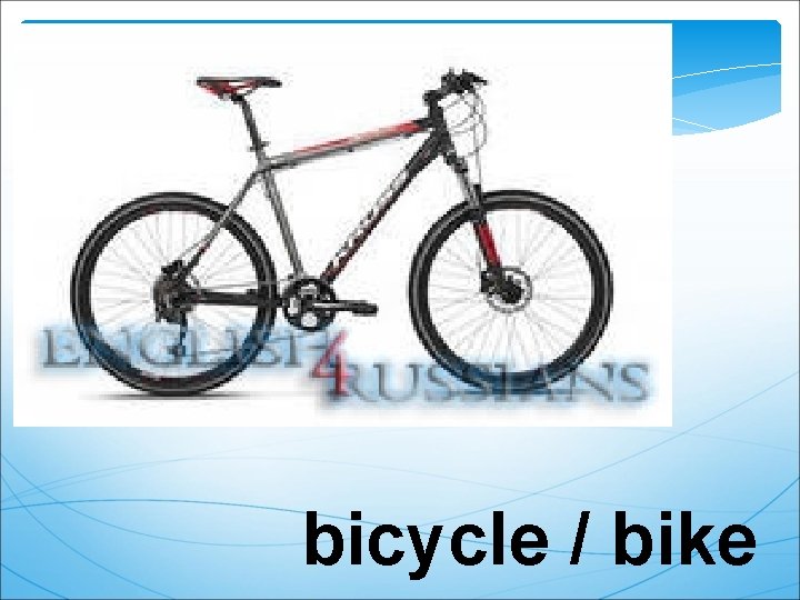 bicycle / bike 