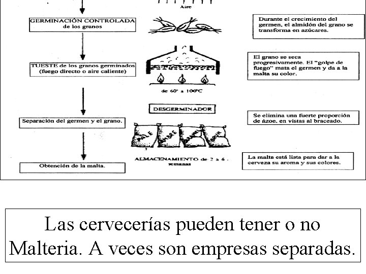 Las cervecerías pueden tener o no Malteria. A veces son empresas separadas. 