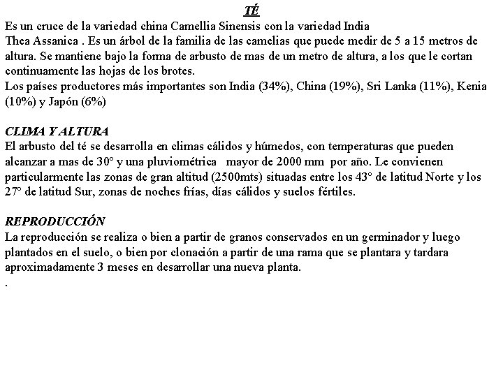 TÉ Es un cruce de la variedad china Camellia Sinensis con la variedad India