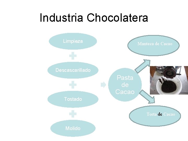 Industria Chocolatera Limpieza Manteca de Cacao Descascarillado Pasta de Cacao Tostado Torta de Cacao