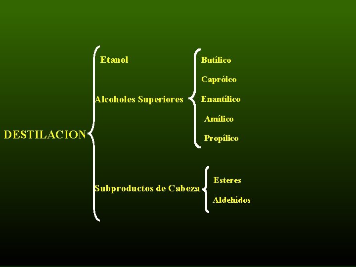 Etanol Butílico Capróico Alcoholes Superiores Enantílico Amílico DESTILACION Propílico Subproductos de Cabeza Esteres Aldehídos