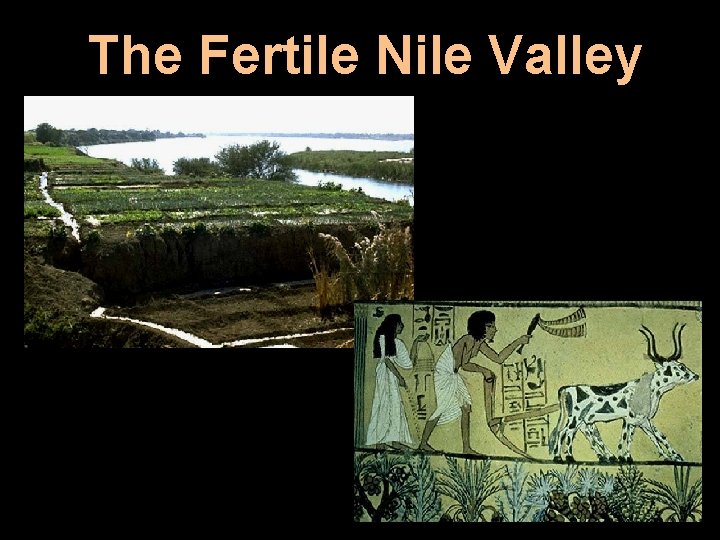 The Fertile Nile Valley 