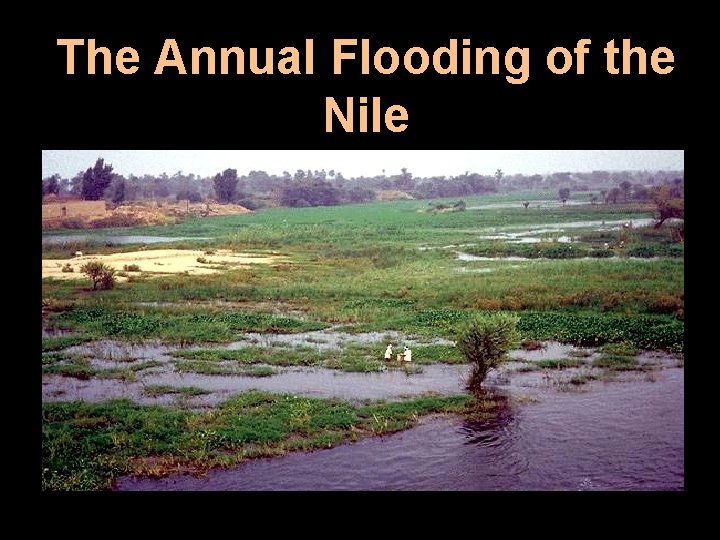 The Annual Flooding of the Nile 