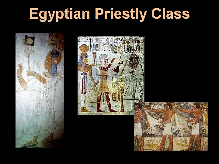 Egyptian Priestly Class 