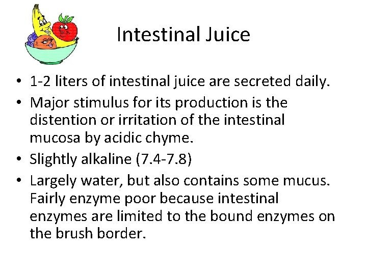 Intestinal Juice • 1 -2 liters of intestinal juice are secreted daily. • Major