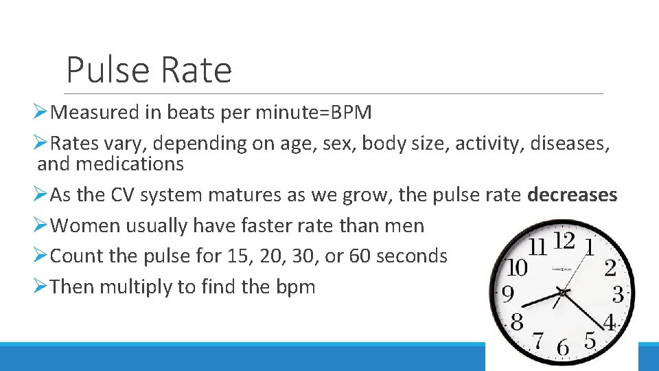 Pulse Rate ØMeasured in beats per minute=BPM ØRates vary, depending on age, sex, body