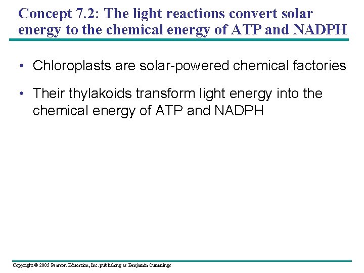 Concept 7. 2: The light reactions convert solar energy to the chemical energy of
