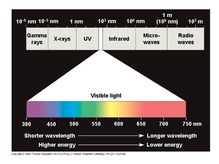 10– 5 nm 10– 3 nm Gamma rays 103 nm 1 nm X-rays 106