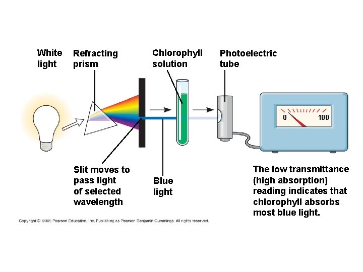 White light Refracting prism Chlorophyll solution Photoelectric tube 0 Slit moves to pass light