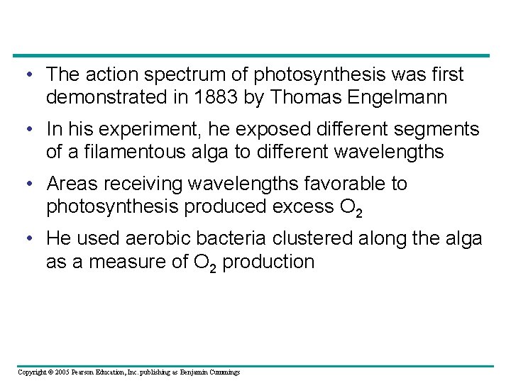  • The action spectrum of photosynthesis was first demonstrated in 1883 by Thomas