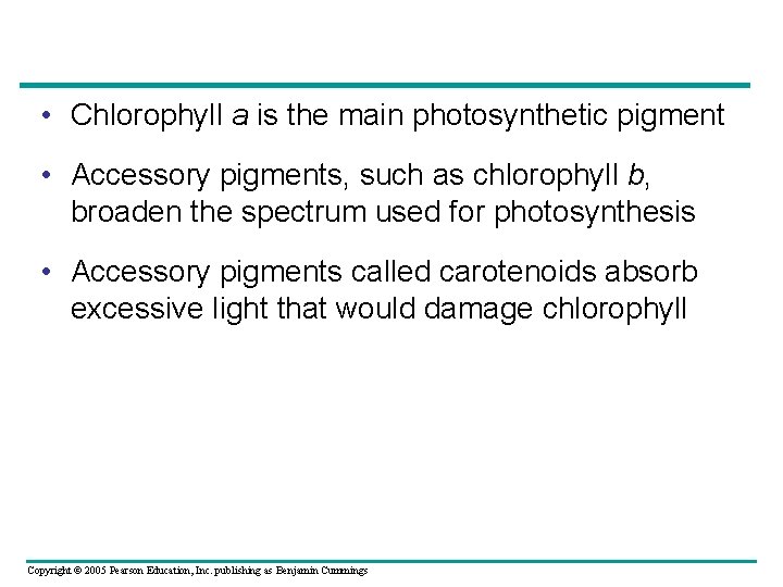  • Chlorophyll a is the main photosynthetic pigment • Accessory pigments, such as